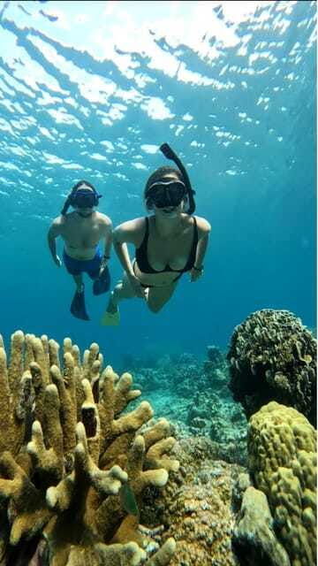 snorkeling-around-3-island-turtle-sanctuary
