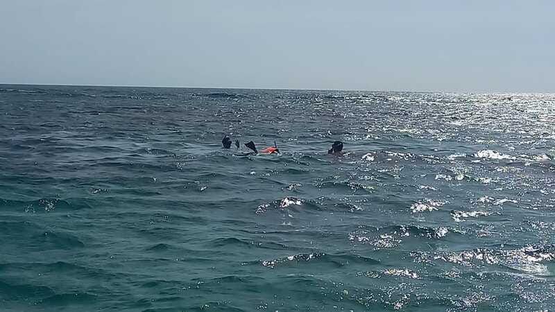 snorkeling-express-puerto-morelos