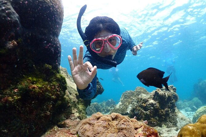 Snorkeling Full Day Experience from Bangkok - The Sum Up