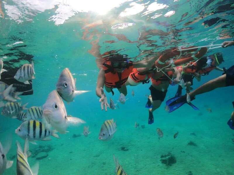snorkeling-in-cozumel-waters-in-a-transparent-boat-beers