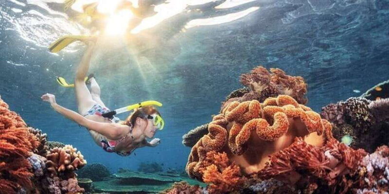 snorkeling-in-negombo