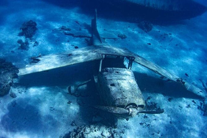 Snorkeling Tour in Tahiti on Punaauia - Who Will Love This Tour?
