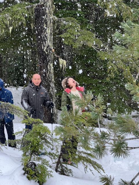 snowshoeing-at-the-top-of-the-sea-to-sky-gondola