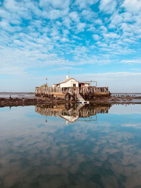 solar-boat-tour-along-the-salgado-da-ria-de-aveiro