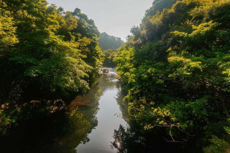 southern-jeju-healing-unesco-small-group-day-tour