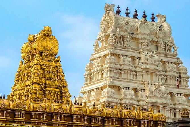 Splendid Chennai: Private Half Day Tour of Chennai - Government Museum: Cultural Insights
