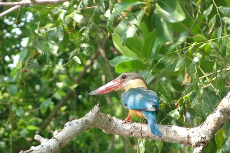 sri-lanka-2-day-wildlife-tour-rainforest-and-national-park