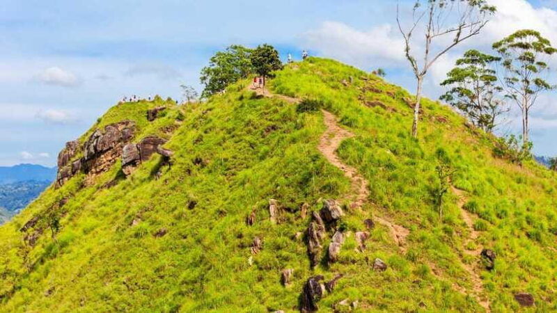 sri-lanka-6-day-luxury-honeymoon-tour