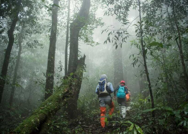 sri-lanka-green-bless-2-day-private-trip-to-enjoy-nature