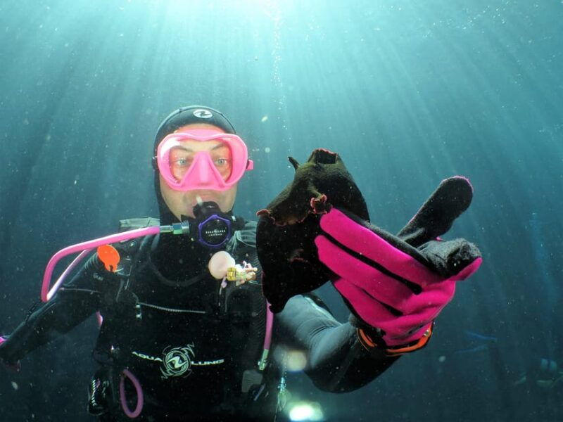 ssi-try-scuba-diving-in-the-sea