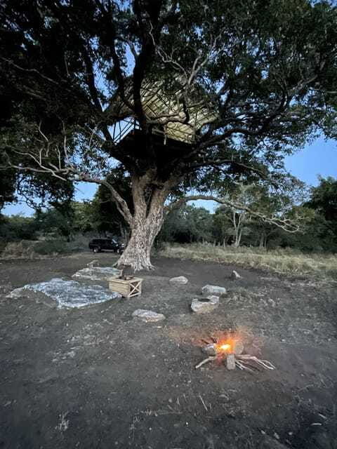 starlit-escape-stargazing-from-a-tree-hut-in-sigiriya
