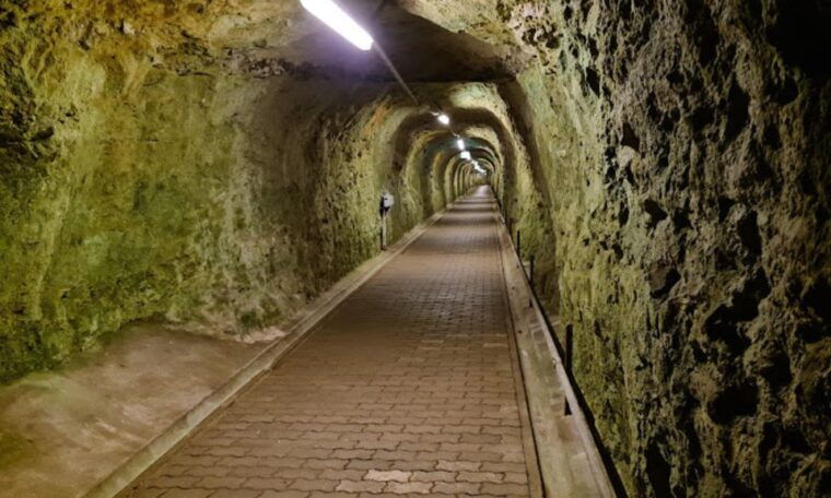 stevns-klint-unesco-world-heritage-site-tour-from-copenhagen