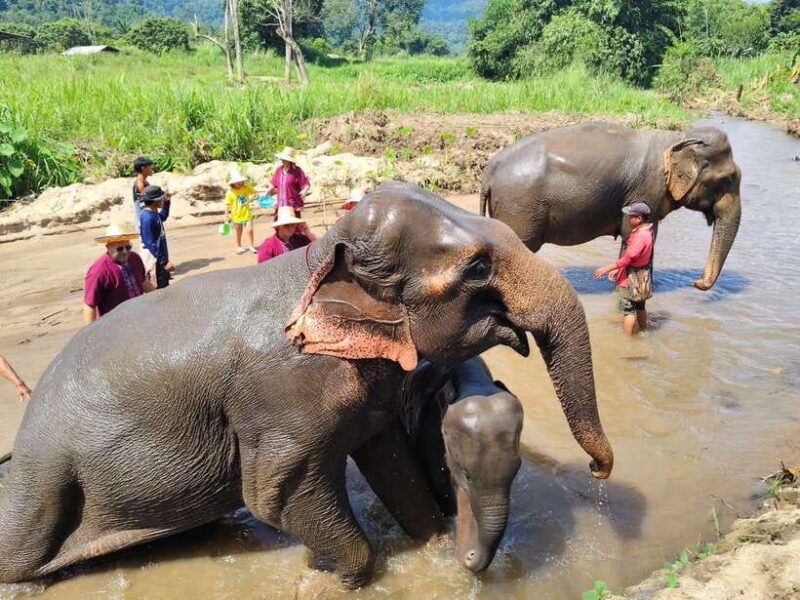 sticky-waterfalls-elephants-bamboo-or-white-water-rafting