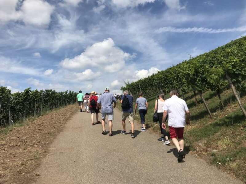 stuttgart-guided-wine-walk-wine-tasting