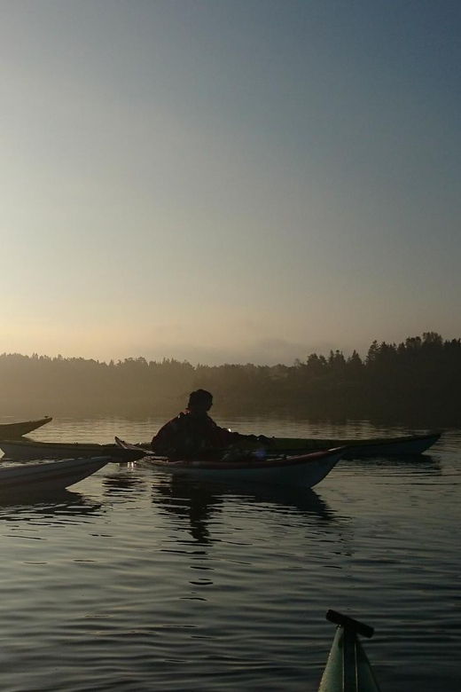 summer-evening-in-a-sea-kayak-turku-archipelago