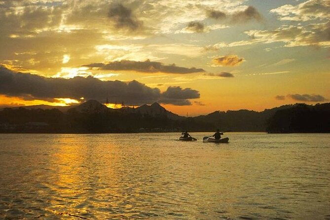 Sunrise Brunswick River Kayak Activity - What We Can Learn from Reviews