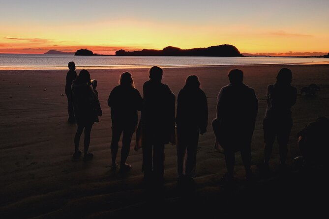 Sunrise with the kangaroos and wallabies - The Sum Up