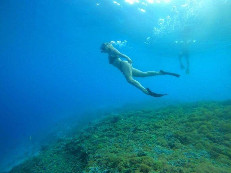 sunset-shared-snorkeling-trip
