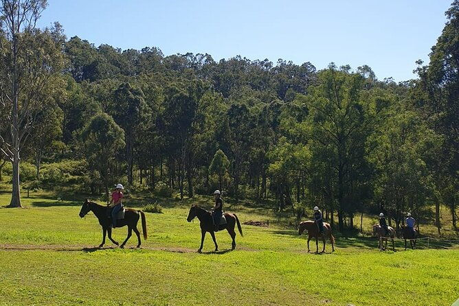 Sydney - Hunter Valley Wine Tasting & Horse Riding Private Tour - Who Will Love This Tour?