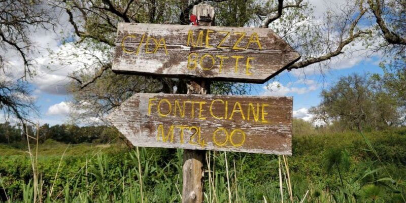 syracuse-ciane-river-nature-reserve-guided-trek