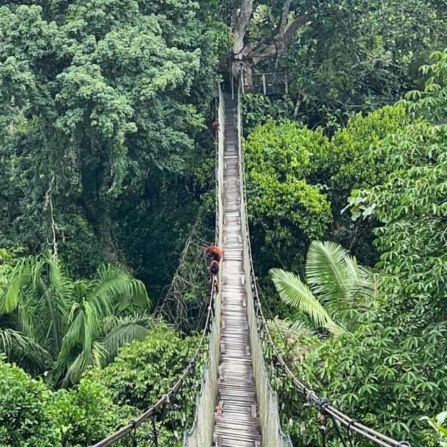 tambopata-2-days-and-1-night-adventure-and-sandoval-lake