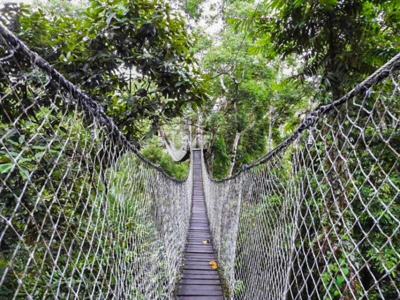 tambopata-zipline-adventure-kayak-to-monkey-island