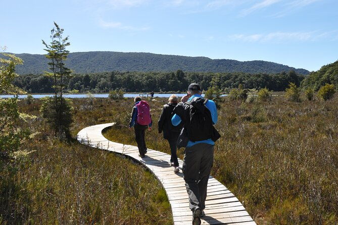 Te Anau Jetboat Experience, Kepler Guided Hike, Transport & Lunch - The Sum Up