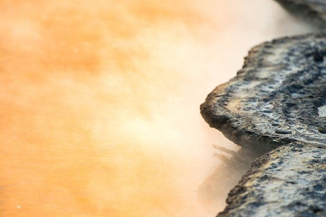 Te Puia & Hells Gate incl. Mud Spa Experience Private Tour - Who Should Consider This Tour?