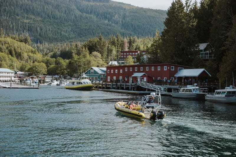 telegraph-cove-3-hour-whale-watching-tour-in-a-zodiac-boat