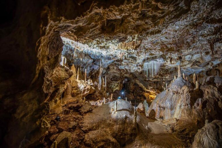 the-bears-cave-1-day-airconditioned-car-tour-from-oradea