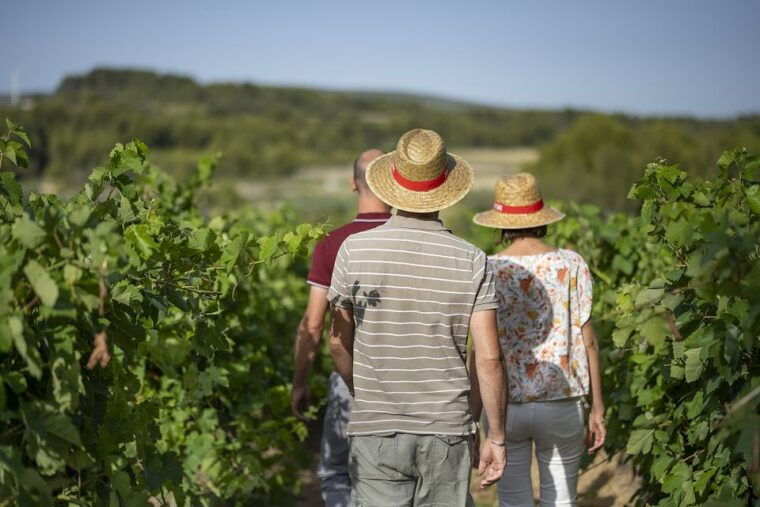 the-chateaux-of-gres-de-montpellier-wine-tasting