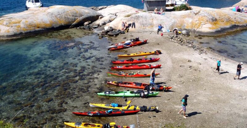 the-lunch-trip-sea-kayak-tour