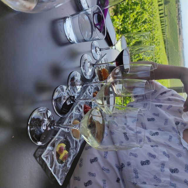 thessaloniki-winery-visit-with-wine-tasting-experience