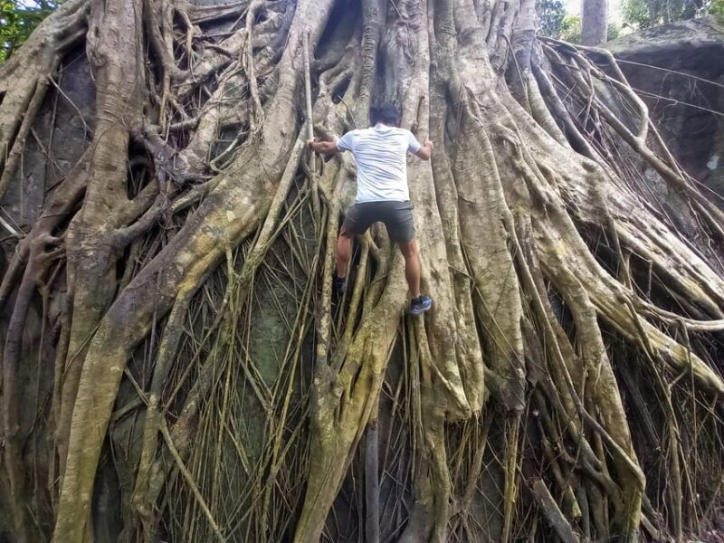 tien-son-dinh-1-day-trekking-tour-phu-quoc