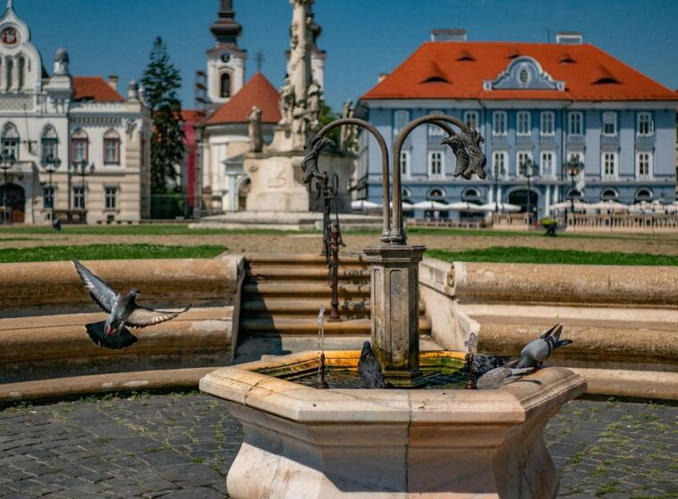 timisoara-private-walking-tour-with-a-local-guide