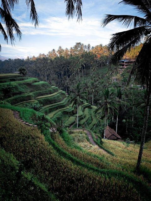 top-adventure-rafting-mt-batur-sunrise-trekking-atv