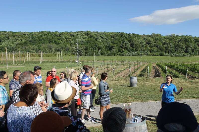 toronto-niagara-falls-day-trip-with-wine-tasting-transfer
