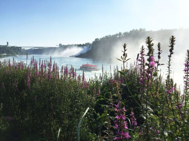 toronto-niagara-falls-guided-day-tour-with-boat-option