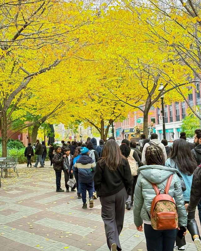 toronto-old-town-walking-tour-with-st-lawrence-market
