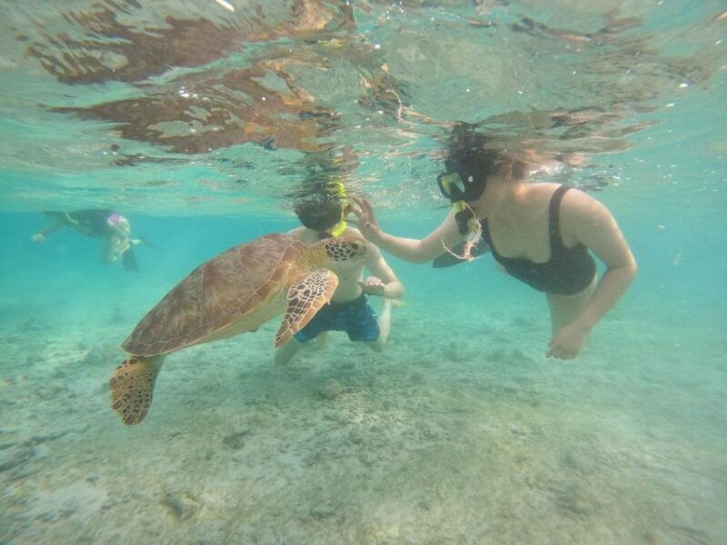 tour-gili-islands-private-snorkeling-trip-4-hours