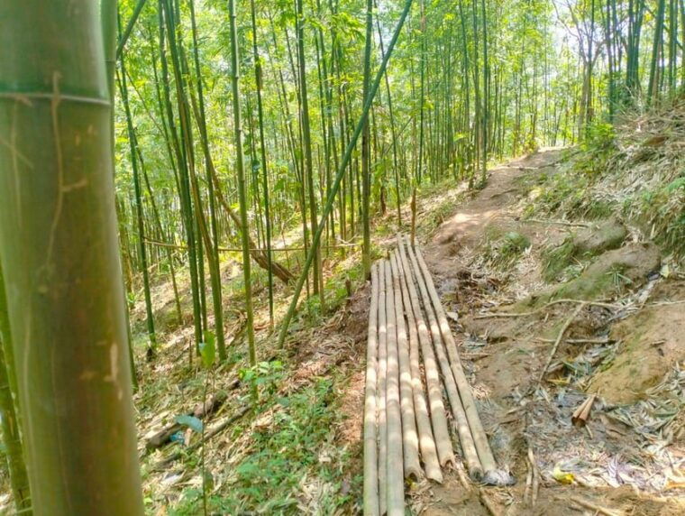 trek-to-local-ethnic-villages-muong-hoa-valley-guide-lunch