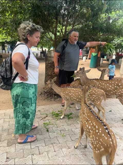 trincomalee-tuk-tuk-city-tour-with-a-guide