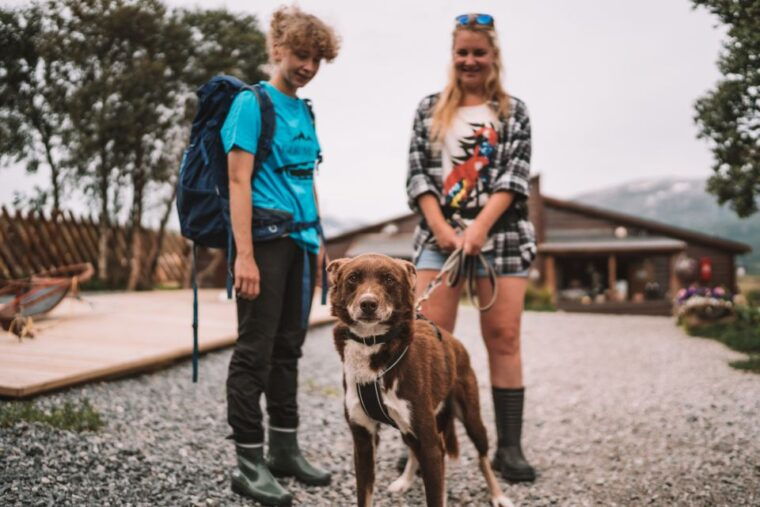 tromso-husky-hike-and-puppy-visit-with-traditional-lunch