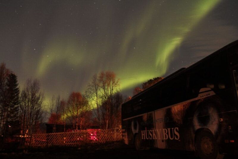 tromso-northern-lights-husky-visit-with-traditional-dinner