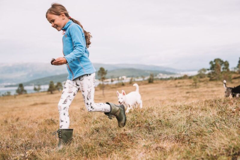 tromso-puppy-training-at-the-husky-kennel-with-lunch