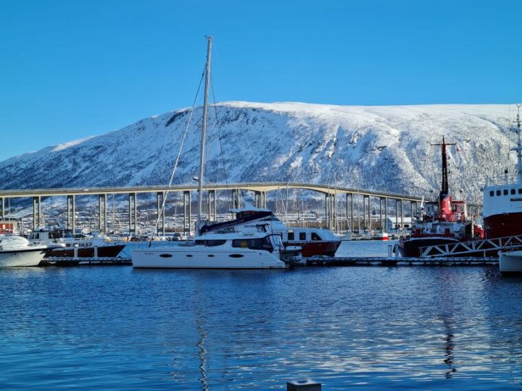 tromso-sightseeing-cruise-by-catamaran-with-snacks-drinks