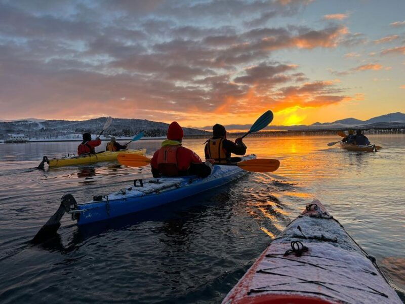 tromso-winter-sea-kayaking-tour-with-wildlife-sightings