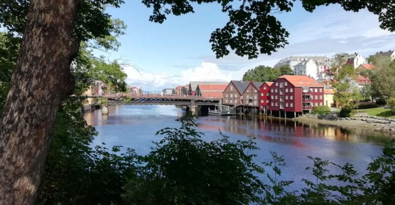 trondheim-explore-the-city-of-kings-with-a-local-guide