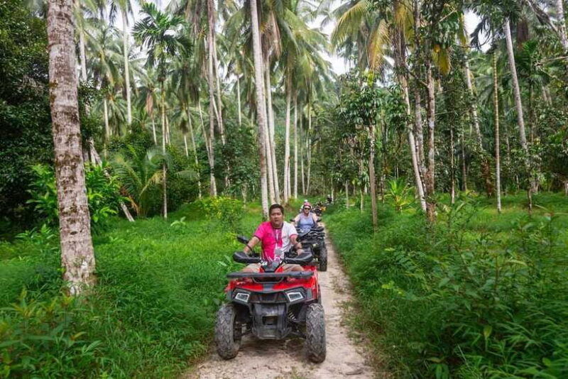 twilight-adventure-atv-quad-with-rescued-elephant-and-meal
