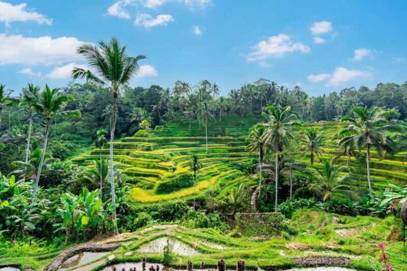 ubud-best-of-ubud-full-day-tour-with-entry-tickets